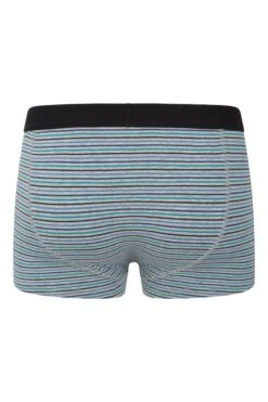 Mountain Warehouse Mens Striped Boxers 2-Pack -Mountain Warehouse 048157 blu stripe boxer multipack men aw21 08