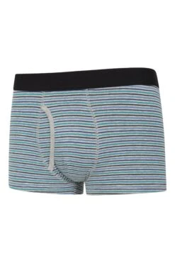 Mountain Warehouse Mens Striped Boxers 2-Pack -Mountain Warehouse 048157 blu stripe boxer multipack men aw21 09