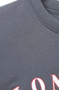 Mountain Warehouse 057883 REGIONAL MEN LONDON EMB SWEATSHIRT -Mountain Warehouse 057883 cha regional men london emb sweatshirt men ss25 05